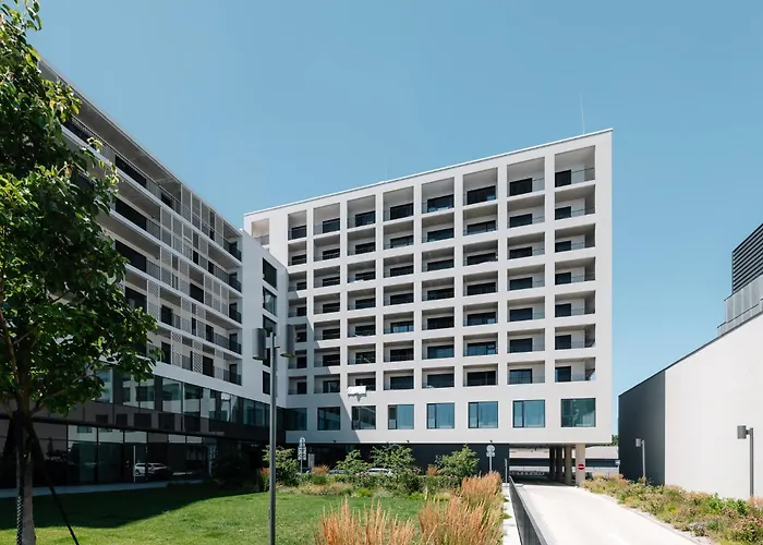 New Comfort Business *