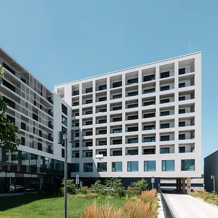 New Comfort Business *